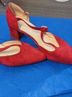 Huiyuzhi Mary Jane Pointed-Toe Block Heel in Rust Orange Suede